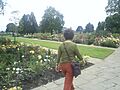 Gardens of the Rose