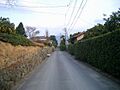Gardens with natsumikans in hagi