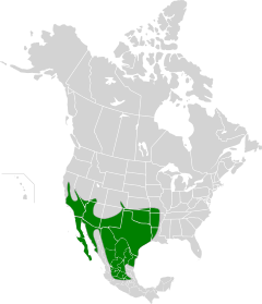Mapa de la distribución del correcaminos norteño.