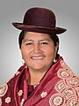 Gloria Magdalena Callizaya Rodríguez (Official Photo, 2020) Chamber of Deputies of Bolivia