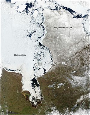 HudsonBay.MODIS.2005may21.jpg