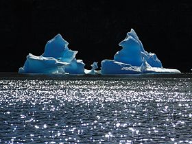 Iceberg en Lago Grey