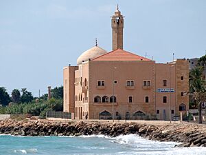 Archivo:Islamic university building in Tyre