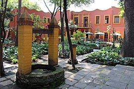 Jardín Sonoro (Fonoteca Nacional) - 8