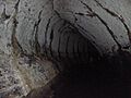 Lava tunnel on the island of santa cruz in the galapagos