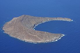 Lehua 2.jpg