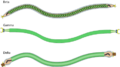 Lipothrixviridae virion