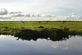 Llanos del Beni, Bolivia