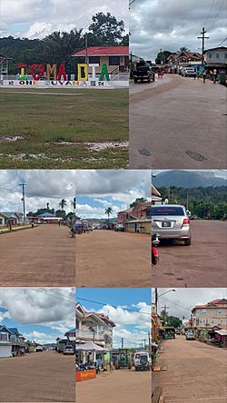 Mahdia Town Guyana Collage.jpg