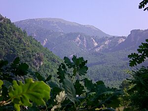 Archivo:Monte polveracchio