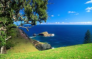 Archivo:Norfolk Island Bird Rock