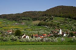 Oltingen-Dorf.jpg