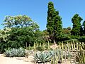 Pinya de Rosa, vista 01