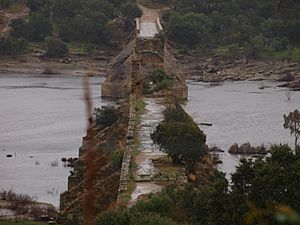 Archivo:Ponte da Ajuda - vista longitudinal