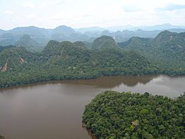 Río Chipurana.jpg