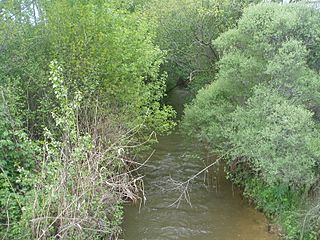 Río Dulce Pelegrina.JPG