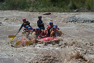Archivo:Rafting en Río Mendoza I