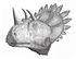Regaliceratops peterhewsi.jpg