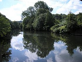 River Taff.jpg