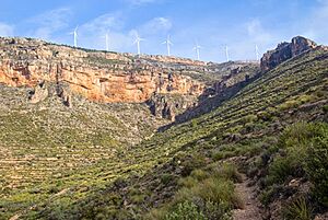 Archivo:Sierra Oliva