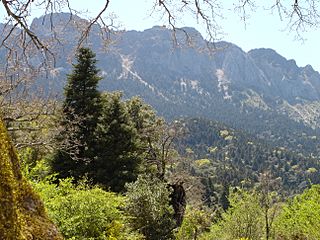 Sierra del Pinar (panorámica).JPG