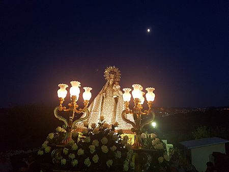 Archivo:Subida de la Virgen de los Remedios