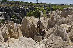 Archivo:The site of secondary mining of Phosphate rock in Nauru, 2007. Photo- Lorrie Graham (10729889683)