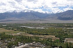 Thiksey, Indus River Valley, Landscape of Ladakh, North India.jpg