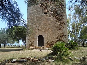 Archivo:Torre de guaita de Torrelasal