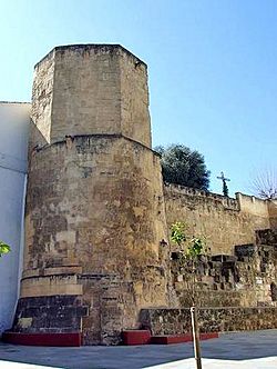 Torre de la Puerta del Rincón.jpg