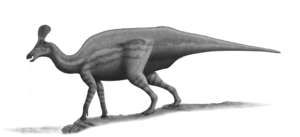 Archivo:Tsintaosaurus-spinorhinus-steveoc86