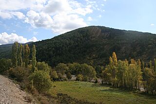 Valle de la Garcipollera.jpg