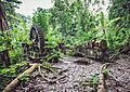 Vestiges de l'usine sucriere de Soulou