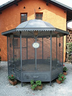Archivo:Voliera