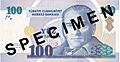100 YTL ön