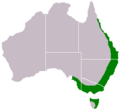 Acacia-melanoxylon-range-map