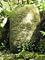 Alma Ata precolumbian petroglyph. Sarapiqui. Costa Rica