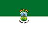 Bandera del Gran Chaco.jpg