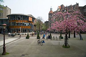 Archivo:Binnengasthuis Area