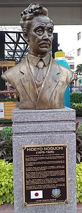 Archivo:Busto Hideyo Noguchi en Guayaquil Ecuador