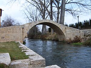 Archivo:Calamocha Puente Romano