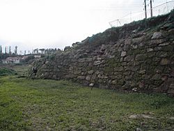 Archivo:Castelo da Rocha Forte Muro surleste 2