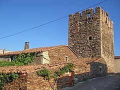 Castillo de Villares de Yeltes