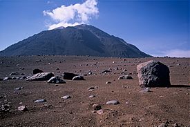 Cerro El Chascón.jpg