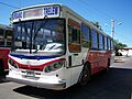 Colectivo de la línea 4 (Trelew)