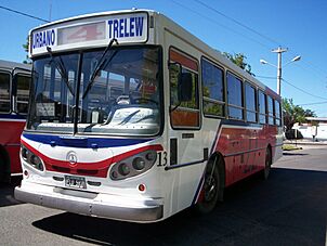 Archivo:Colectivo de la línea 4 (Trelew)
