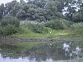 Donaudelta 2
