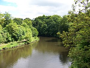 Durham River Wear 2.jpg