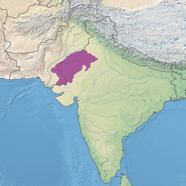 Ecoregion IM1304
