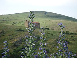 Ermita de Valdeayuso, entre Vizmanos y Ledrado